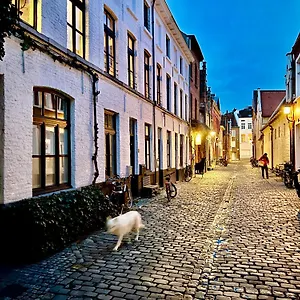Heaven At 11, Your Deluxe With Personal Bathroom, Kitchenette & Terrace Bed & Breakfast Gent